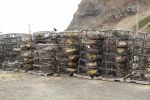 PICTURES/Port Ordford - The Port/t_Traps.JPG